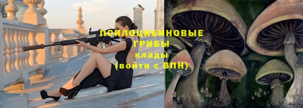 ешки Алексеевка